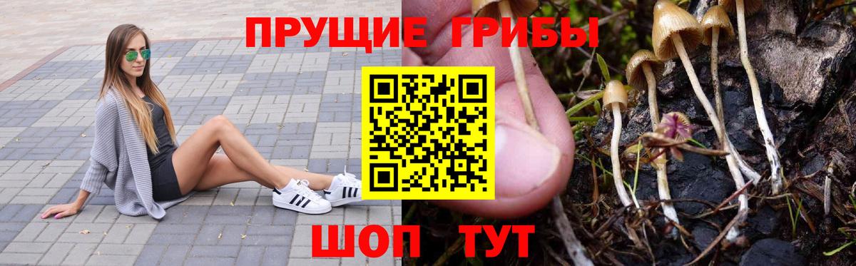 Псилоцибиновые грибы мицелий  Вход с VPN  Советский 